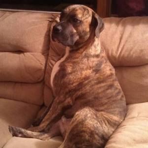 Meet your Posher, Tara